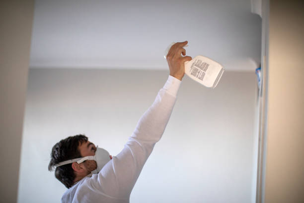 Best Office Mold Removal Services  in Trenton, GA