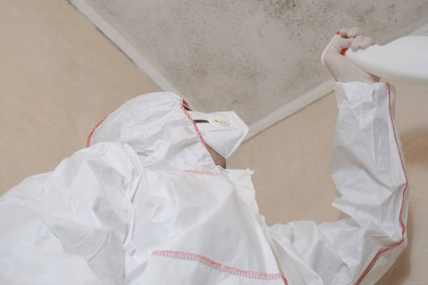 Professional Mold Removal in Trenton, GA